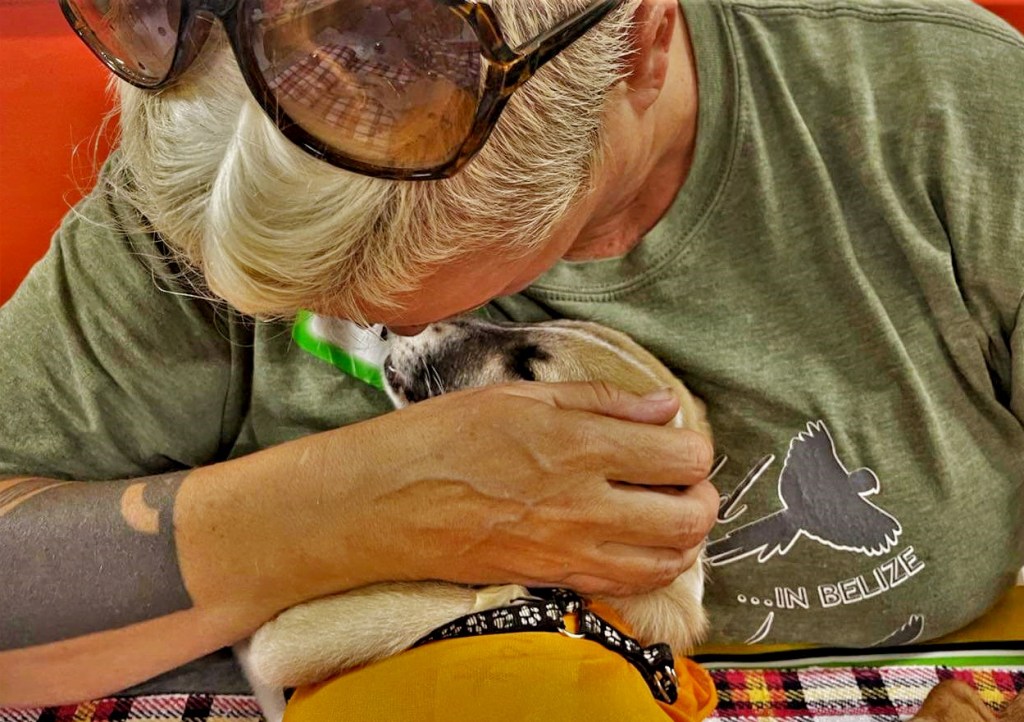 Volunteer comforting puppy recovering from sterilisation surgery at mass clinic in Mexico